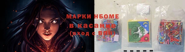амф Няндома