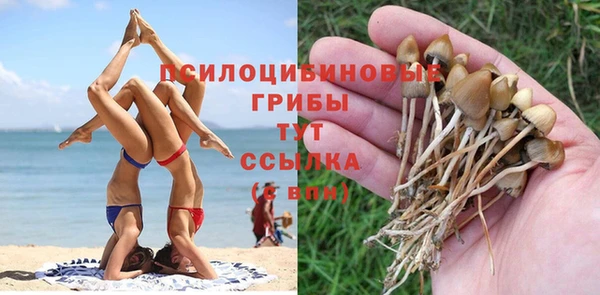 мдпв Куровское