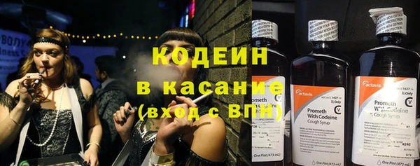 гашик Нягань