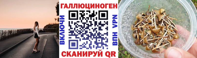 KRAKEN   Макушино  Галлюциногенные грибы Psilocybe  цены наркотик 